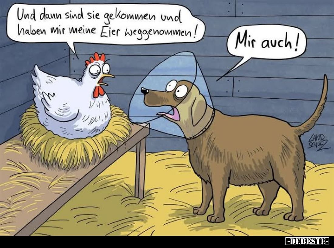 Und dann sind sie gekommen und haben mir meine Eier weggenommen!
-
Mir auch!