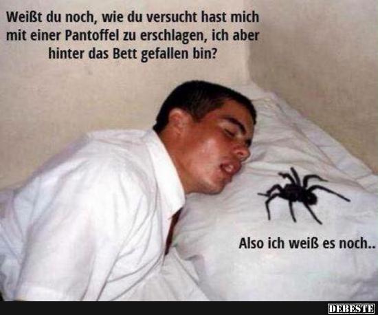 Weißt du noch, wie du versucht hast mich mit einer Pantoffel..