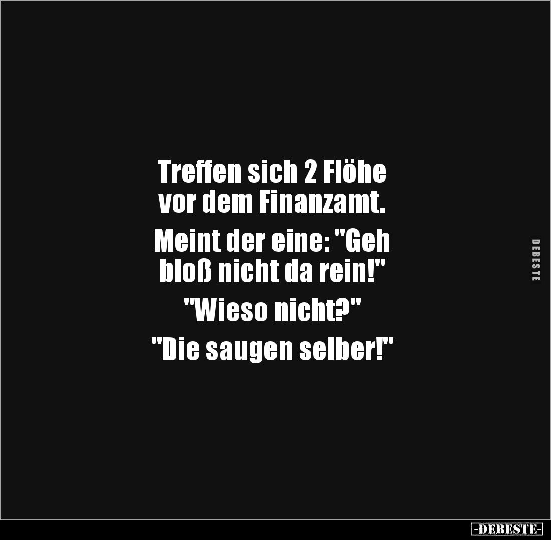 Treffen sich 2 Flöhe 
vor dem Finanzamt. 

Meint der eine: "Geh 
bloß nicht da rein!" 

"Wieso nicht?&qu...