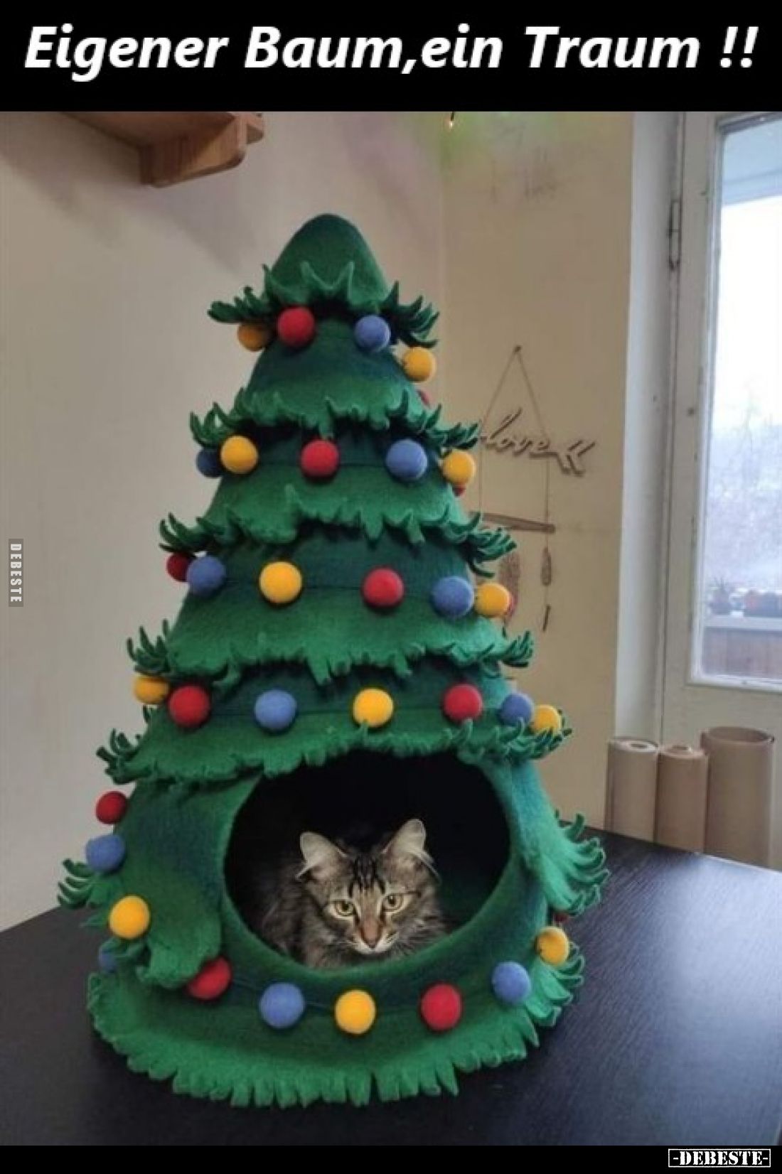 Eigener Baum, ein Traum !!