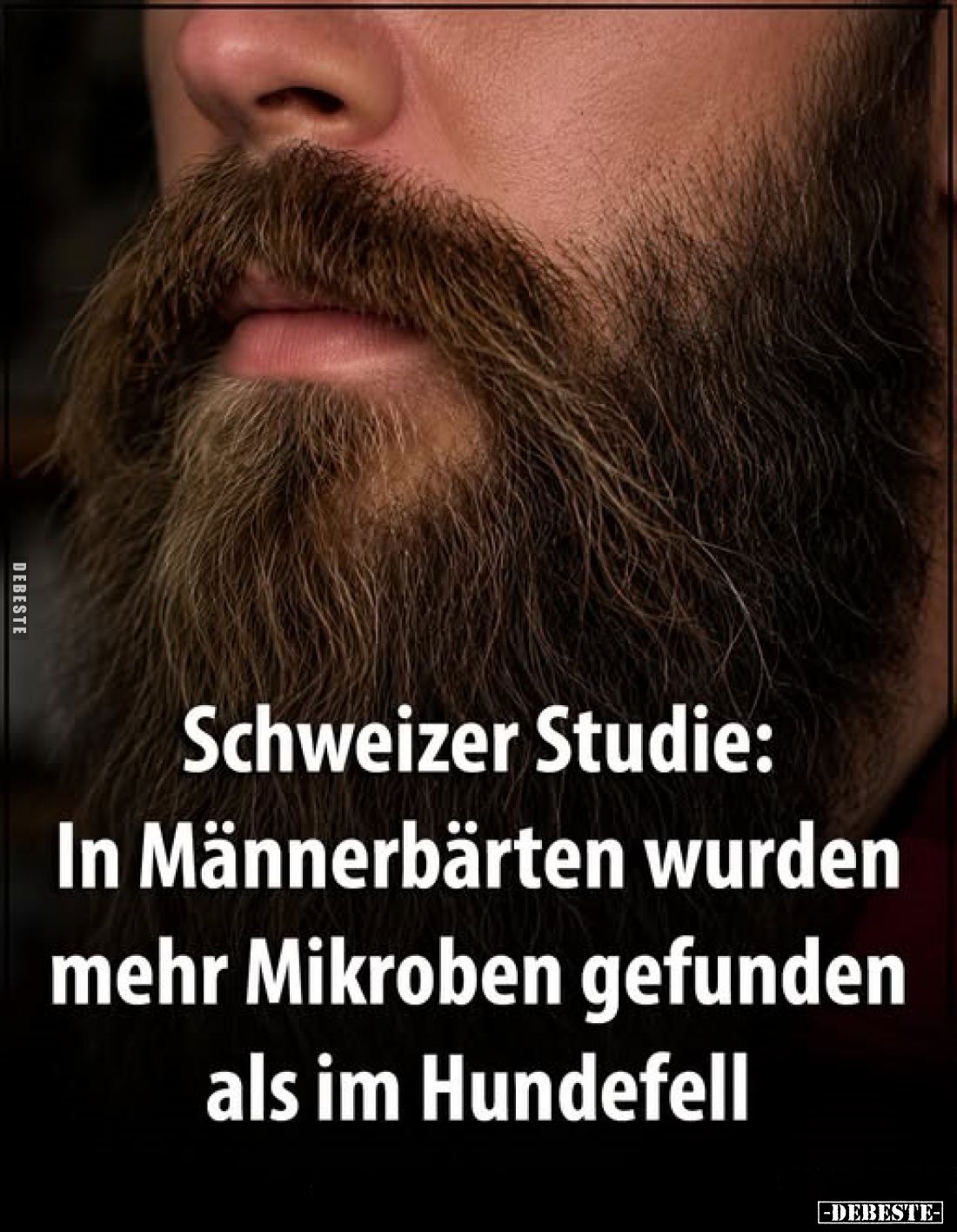 Schweizer Studie:
In Männerbärten wurden mehr Mikroben gefunden als im Hundefell