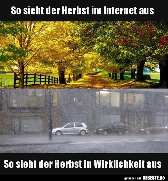 So sieht der Herbst im Internet aus / So sieht der Herbst.. - Lustige Bilder | DEBESTE.de