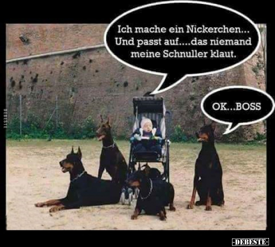 Ich mache ein Nickerchen... Und passt auf...