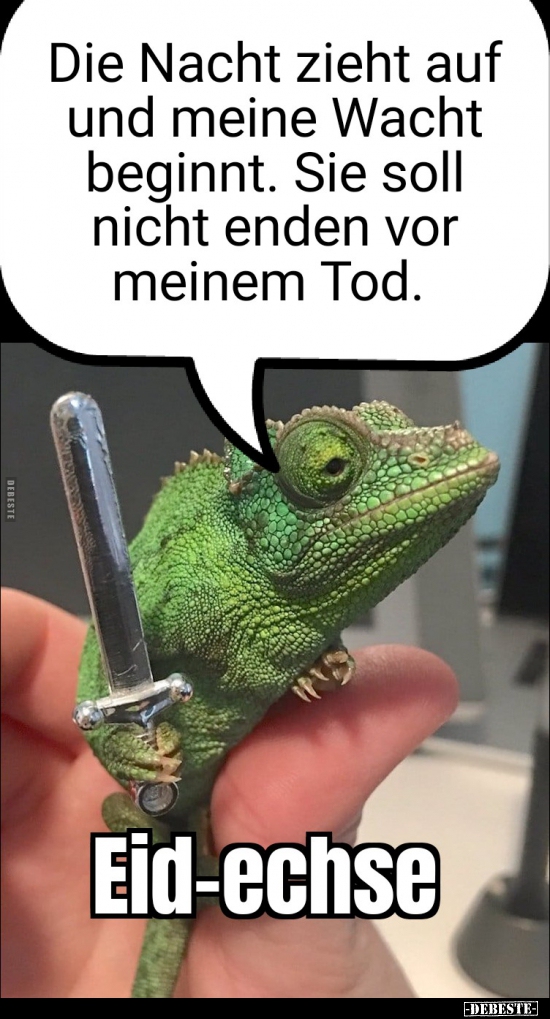 Die Nacht zieht auf und meine Wacht beginnt...