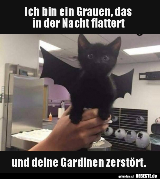 Ich bin ein Grauen, das in der Nacht flattert und deine..