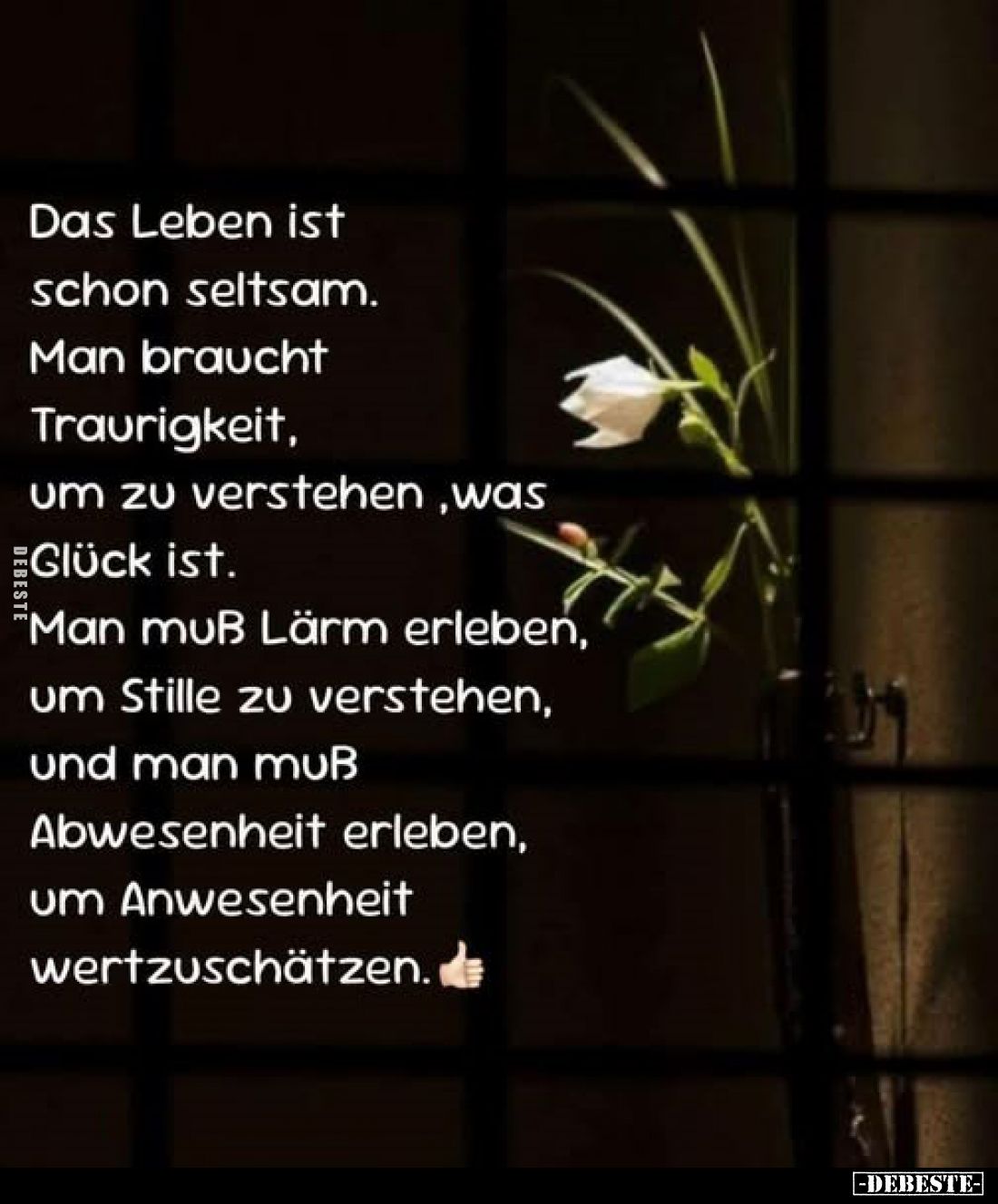 Das Leben ist schon seltsam.
Man braucht Traurigkeit, um zu verstehen, was Glück ist.
Man muß Lärm erleben,
um Stille zu v...