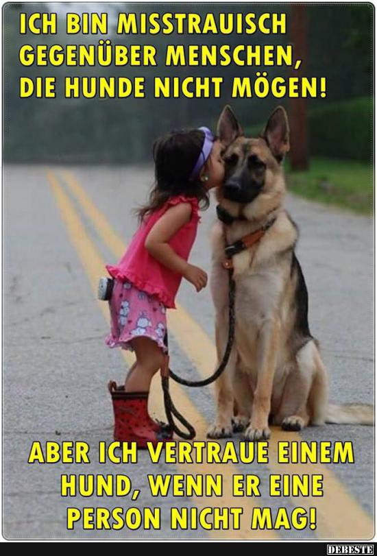 Ich bin mißtrauisch gegenüber Menschen, die Hunde nicht mögen.. - Lustige Bilder | DEBESTE.de