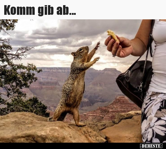 Komm gib ab...