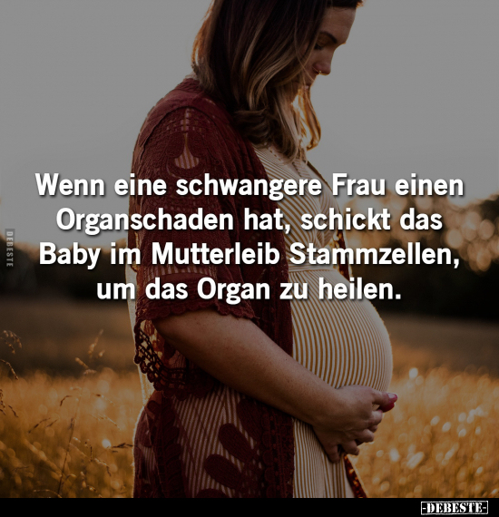 Wenn eine schwangere Frau einen Organschaden hat, schickt.. - Lustige Bilder | DEBESTE.de