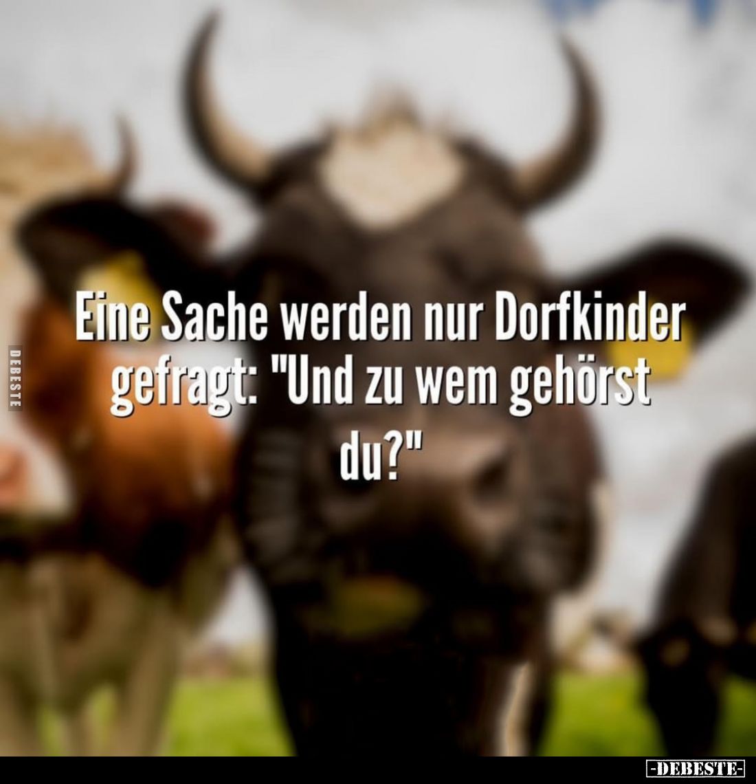 Eine Sache werden nur Dorfkinder gefragt: "Und zu wem gehörst du?"