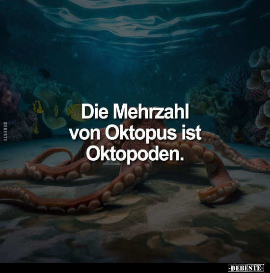 Die Mehrzahl von Oktopus ist Oktopoden... - Lustige Bilder | DEBESTE.de