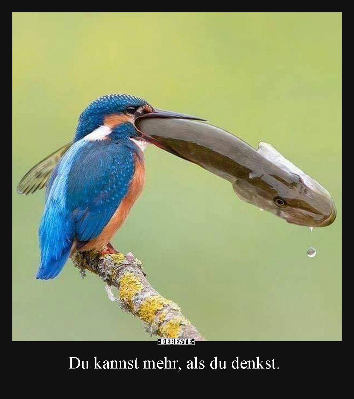 Du kannst mehr, als du denkst.