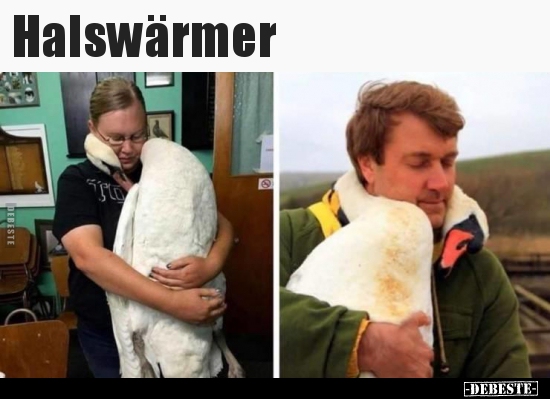 Halswärmer..