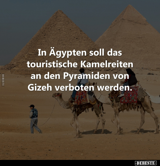 In Ägypten soll das touristische Kamelreiten.. - Lustige Bilder | DEBESTE.de