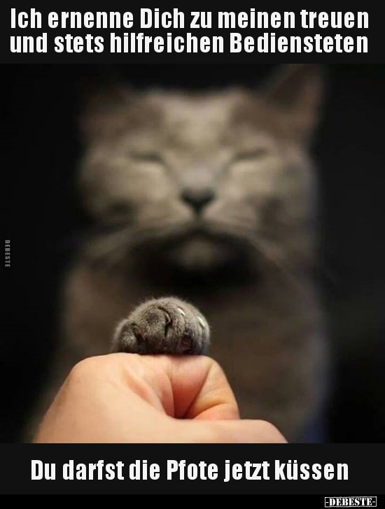Ich ernenne Dich zu meinen treuen und stets hilfreichen..