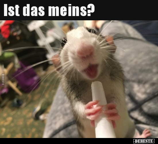 Ist das meins?..