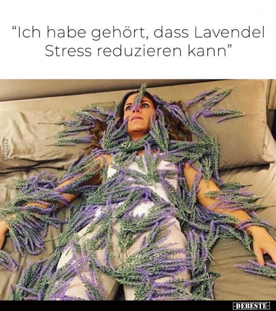 "Ich habe gehört, dass Lavendel Stress reduzieren.." - Lustige Bilder | DEBESTE.de