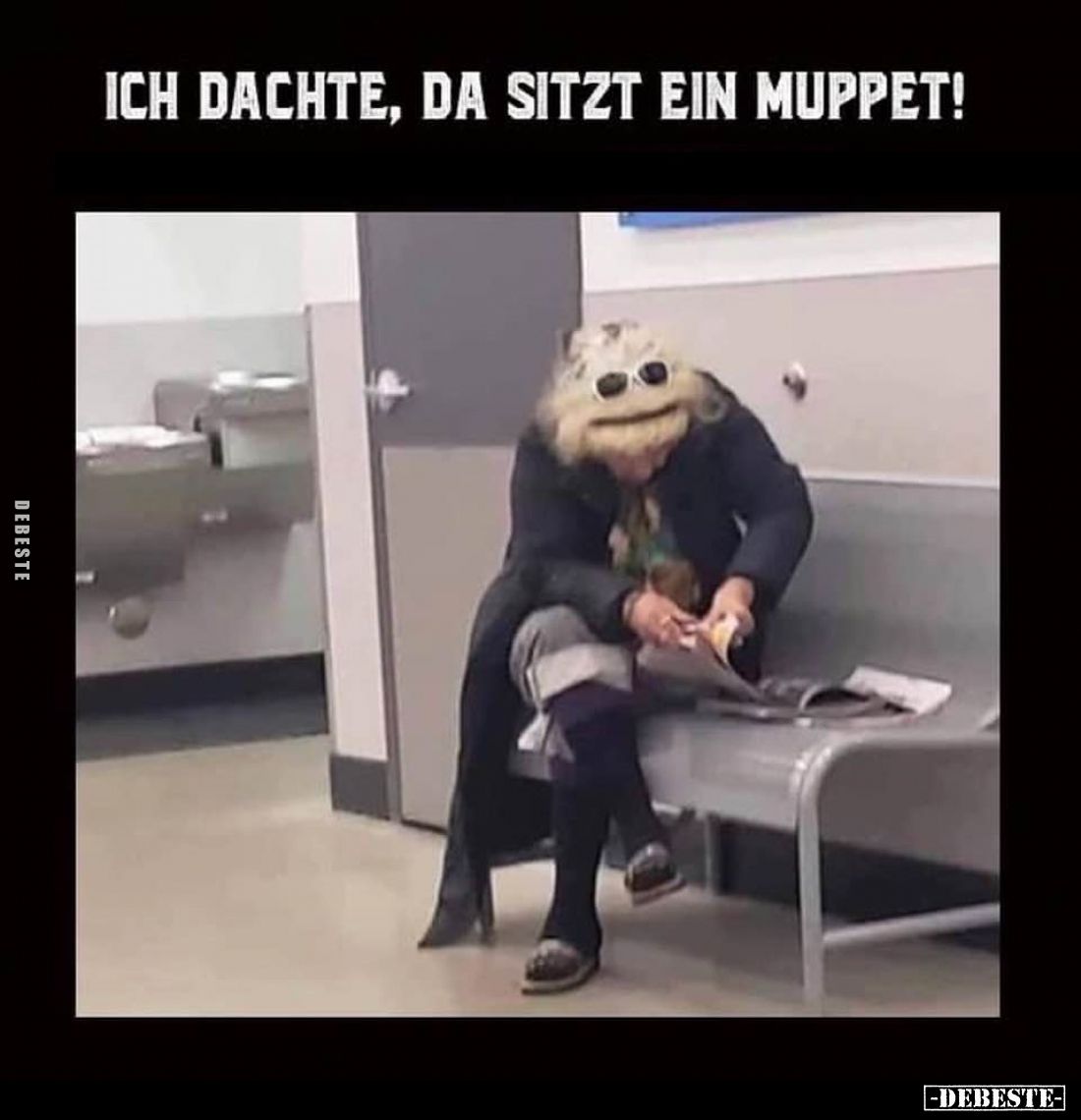 Ich dachte, da sitzt ein Muppet!