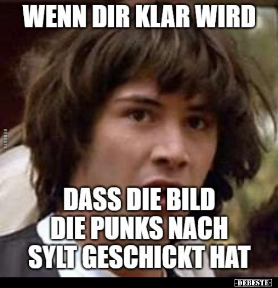Wenn dir klar wird, dass die Bild die Punks nach Sylt.. - Lustige Bilder | DEBESTE.de