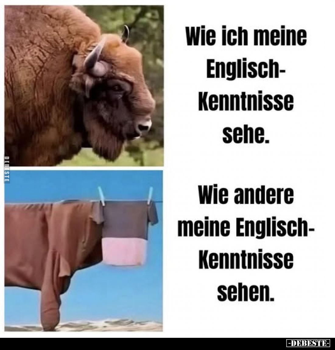 Wie ich meine Englisch-Kenntnisse sehe.
-
Wie andere meine Englisch-Kenntnisse sehen.