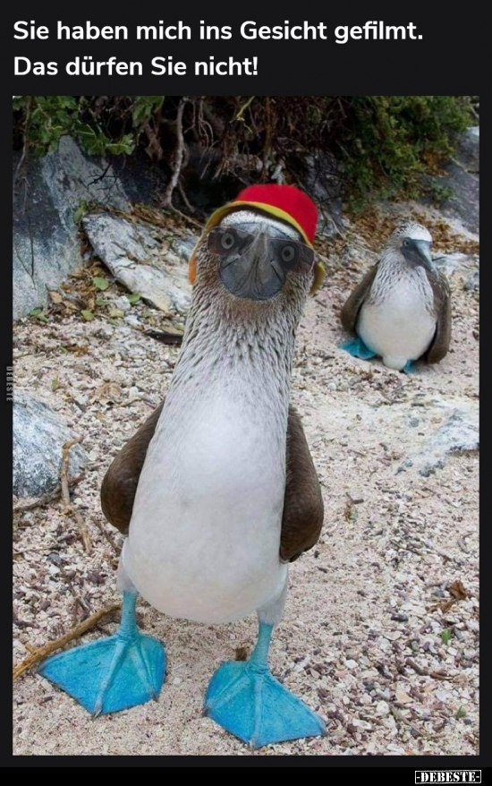 Sie haben mich ins Gesicht gefilmt. Das dürfen Sie.. - Lustige Bilder | DEBESTE.de