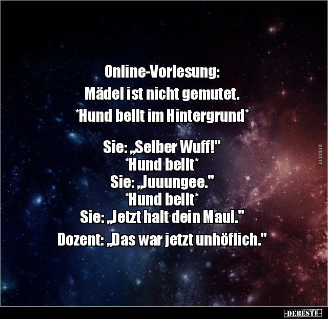 Online-Vorlesung.. - Lustige Bilder | DEBESTE.de