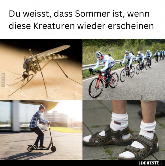 Du weisst, dass Sommer ist, wenn diese Kreaturen wieder.. - Lustige Bilder | DEBESTE.de