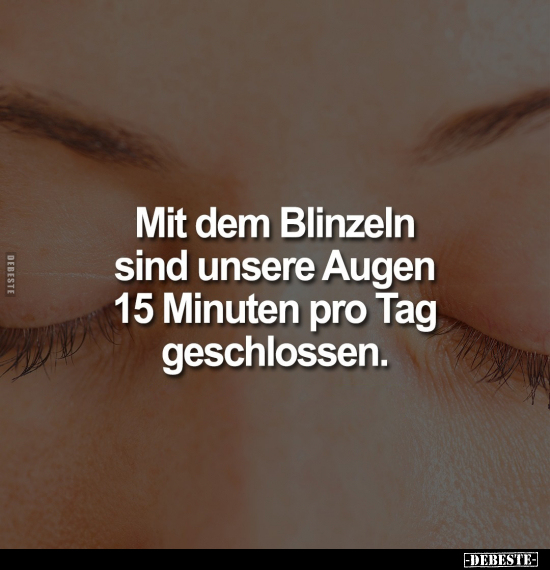 Mit dem Blinzeln sind unsere Augen 15 Minuten pro Tag.. - Lustige Bilder | DEBESTE.de