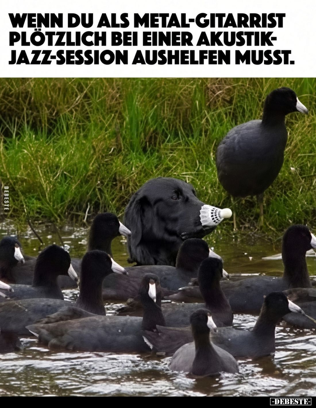 Wenn du als Metal-Gitarrist plötzlich bei einer Akustik-Jazz-Session aushelfen musst.