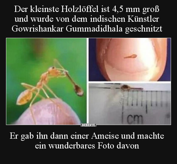 Der kleinste Holzlöffel ist 4,5 mm groß und wurde von dem.. - Lustige Bilder | DEBESTE.de