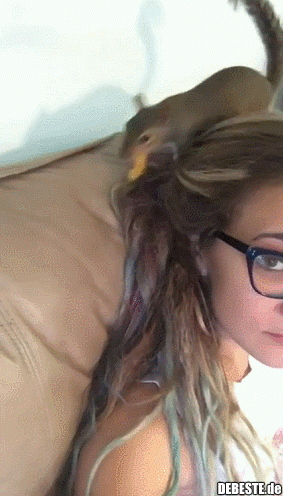 :)) - Lustige Bilder | DEBESTE.de