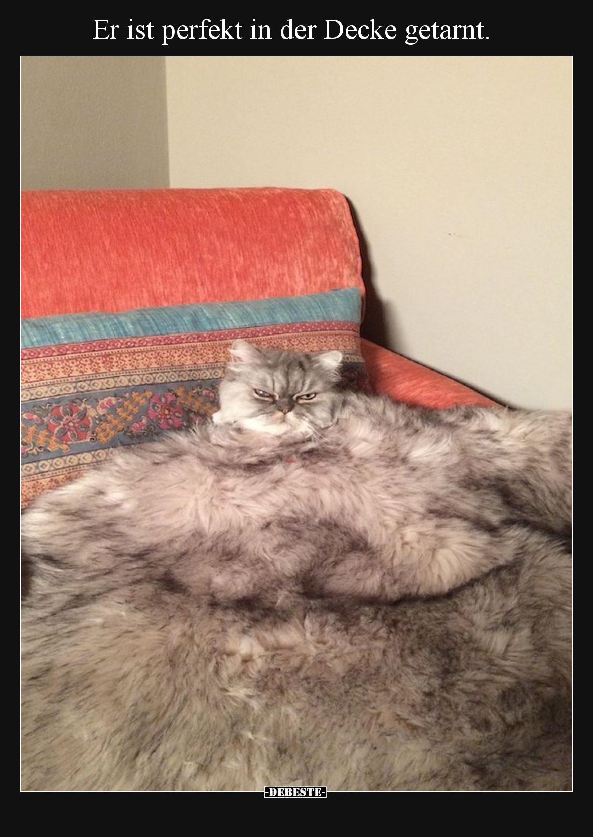 Er ist perfekt in der Decke getarnt... - Lustige Bilder | DEBESTE.de