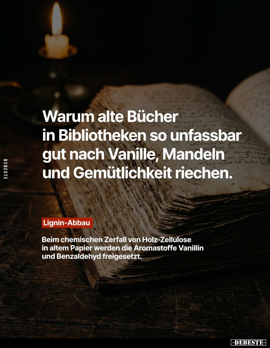 Warum alte Bücher in Bibliotheken so unfassbar gut nach Vanille, Mandeln und Gemütlichkeit riechen.
Lignin-Abbau:
Beim chem...