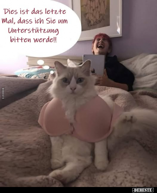 Dies ist das letzte Mal.. - Lustige Bilder | DEBESTE.de