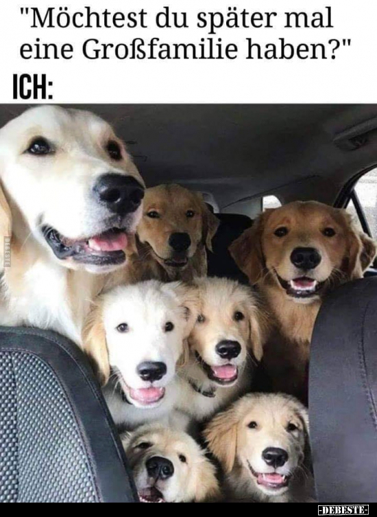 "Möchtest du später mal eine Großfamilie haben?" - Lustige Bilder | DEBESTE.de