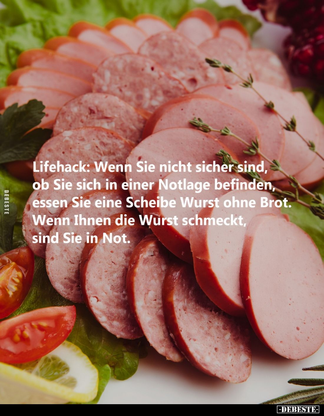 Lifehack: Wenn Sie nicht sicher sind, ob Sie sich in einer Notlage befinden, essen Sie eine Scheibe Wurst ohne Brot.
Wenn Ih...