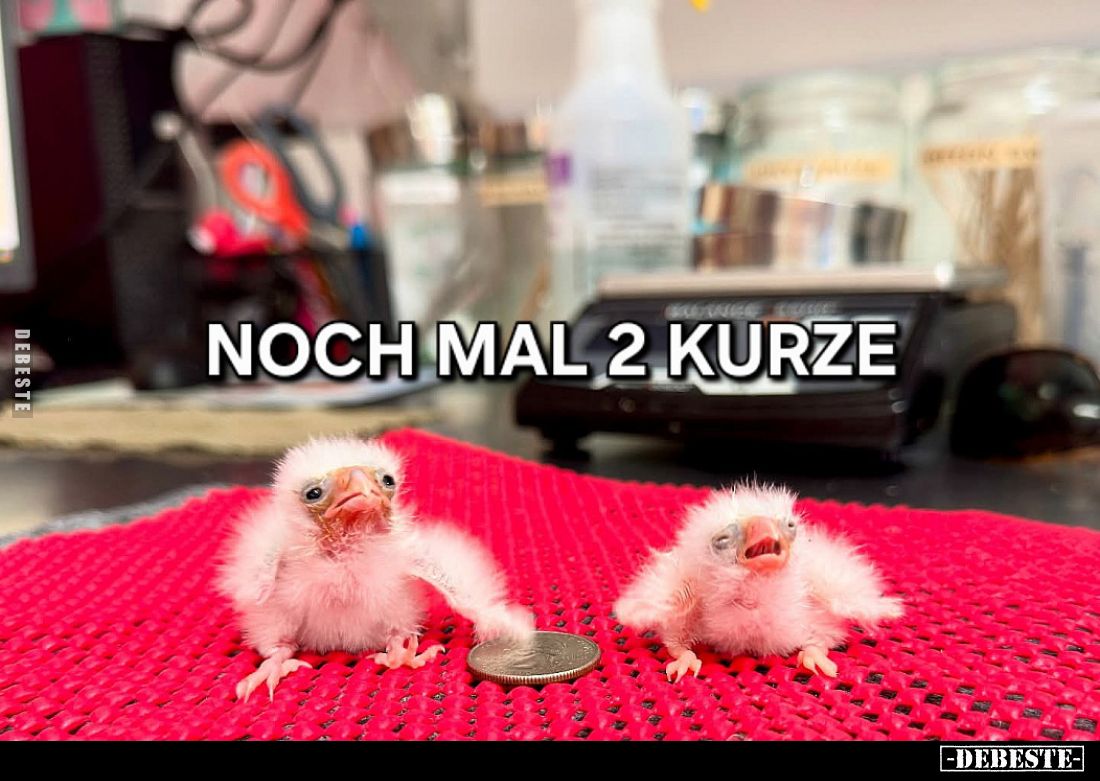 Noch mal 2 Kurze.