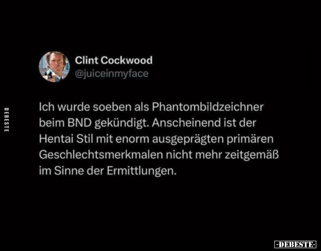 Ich wurde soeben als Phantombildzeichner beim BND gekündigt. Anscheinend ist der Hentai Stil mit enorm ausgeprägten primären ...