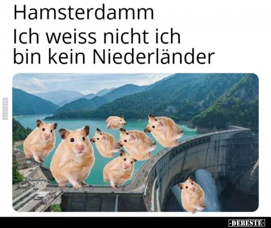 Hamsterdamm Ich weiss nicht ich bin kein Niederländer.. - Lustige Bilder | DEBESTE.de
