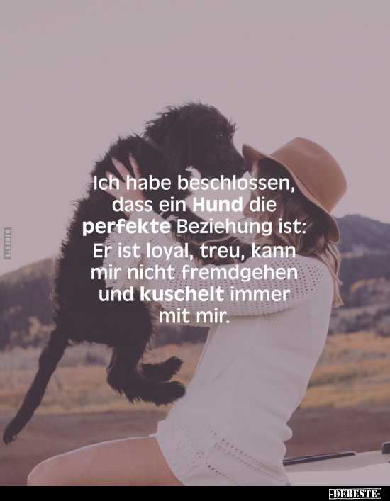 Ich habe beschlossen, dass ein Hund die perfekte Beziehung.. - Lustige Bilder | DEBESTE.de