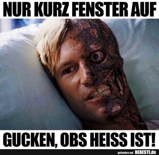 Nur kurz Fenster auf... gucken, obs heiss ist!