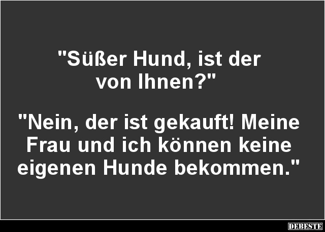 Süßer Hund, ist der von Ihnen? - Lustige Bilder | DEBESTE.de