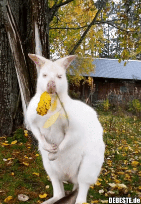 Wo bleibt mein Kaffee?