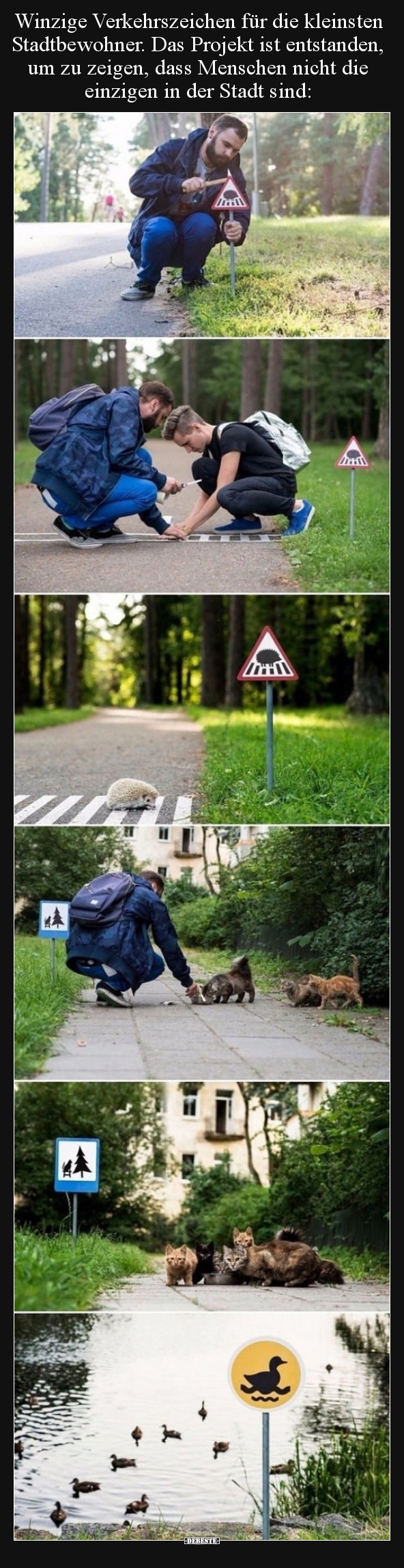 Winzige Verkehrszeichen für die kleinsten Stadtbewohner... - Lustige Bilder | DEBESTE.de