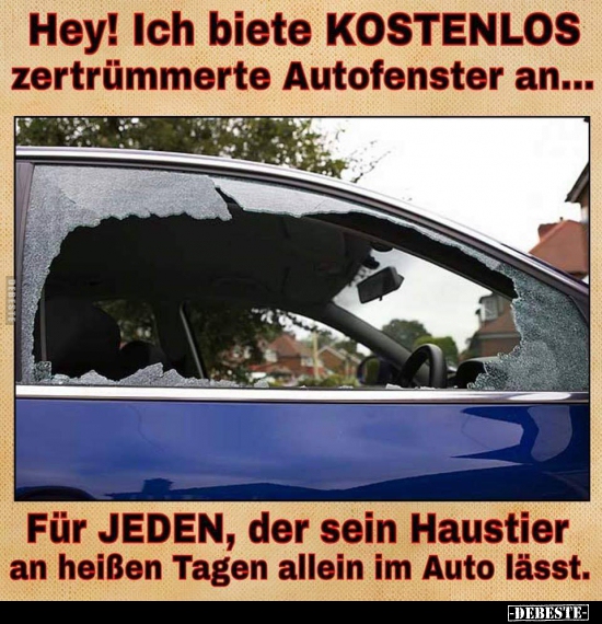 Hey! Ich biete KOSTENLOS  zertrümmerte Autofenster an... - Lustige Bilder | DEBESTE.de