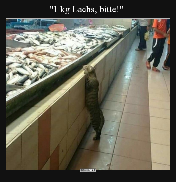 "1 kg Lachs, bitte!"..