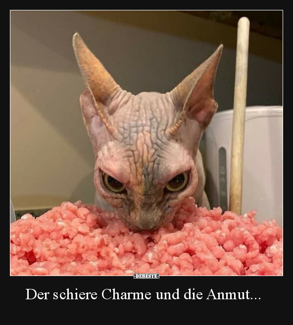 Der schiere Charme und die Anmut... - Lustige Bilder | DEBESTE.de