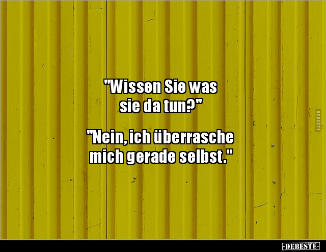 "Wissen Sie was sie da tun?" "Nein, ich überrasche mich.." - Lustige Bilder | DEBESTE.de