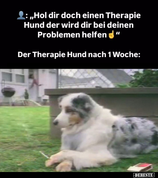 "Hol dir doch einen Therapie Hund.." - Lustige Bilder | DEBESTE.de