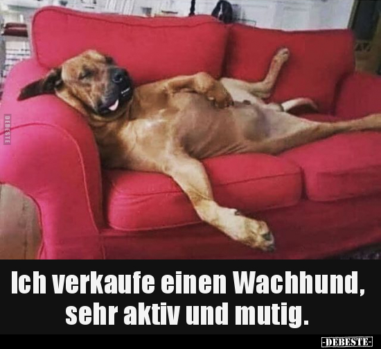Ich verkaufe einen Wachhund, sehr aktiv und mutig... - Lustige Bilder | DEBESTE.de